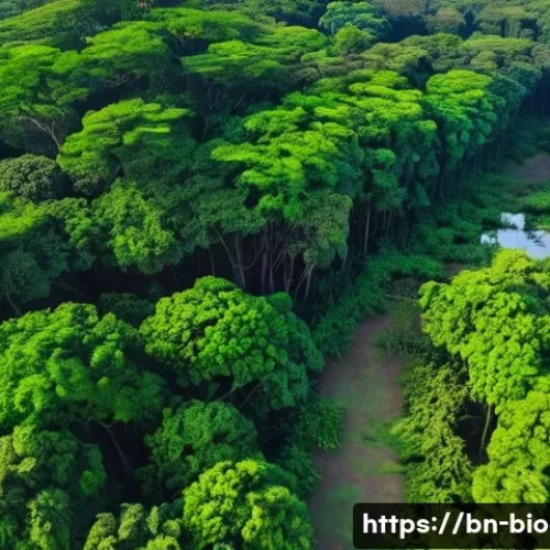 Home 23 생물다양성 보전 직무 관련 전공 - A detailed aerial view of a lush wildlife sanctuary in Bengal, captured by a drone hovering above de...