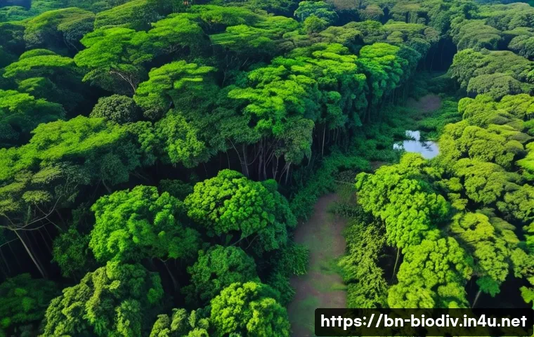 생물다양성 보전 직무 관련 전공 - A detailed aerial view of a lush wildlife sanctuary in Bengal, captured by a drone hovering above de...